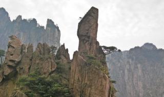 黄山奇石依次介绍了哪七种奇石 黄山奇石ppt